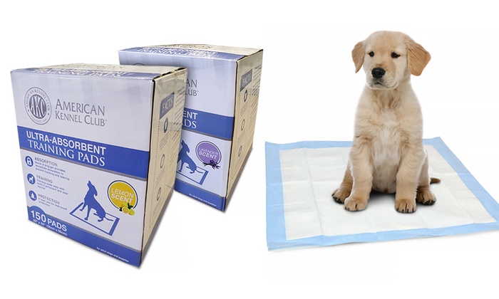 akc ultra absorbent training pads