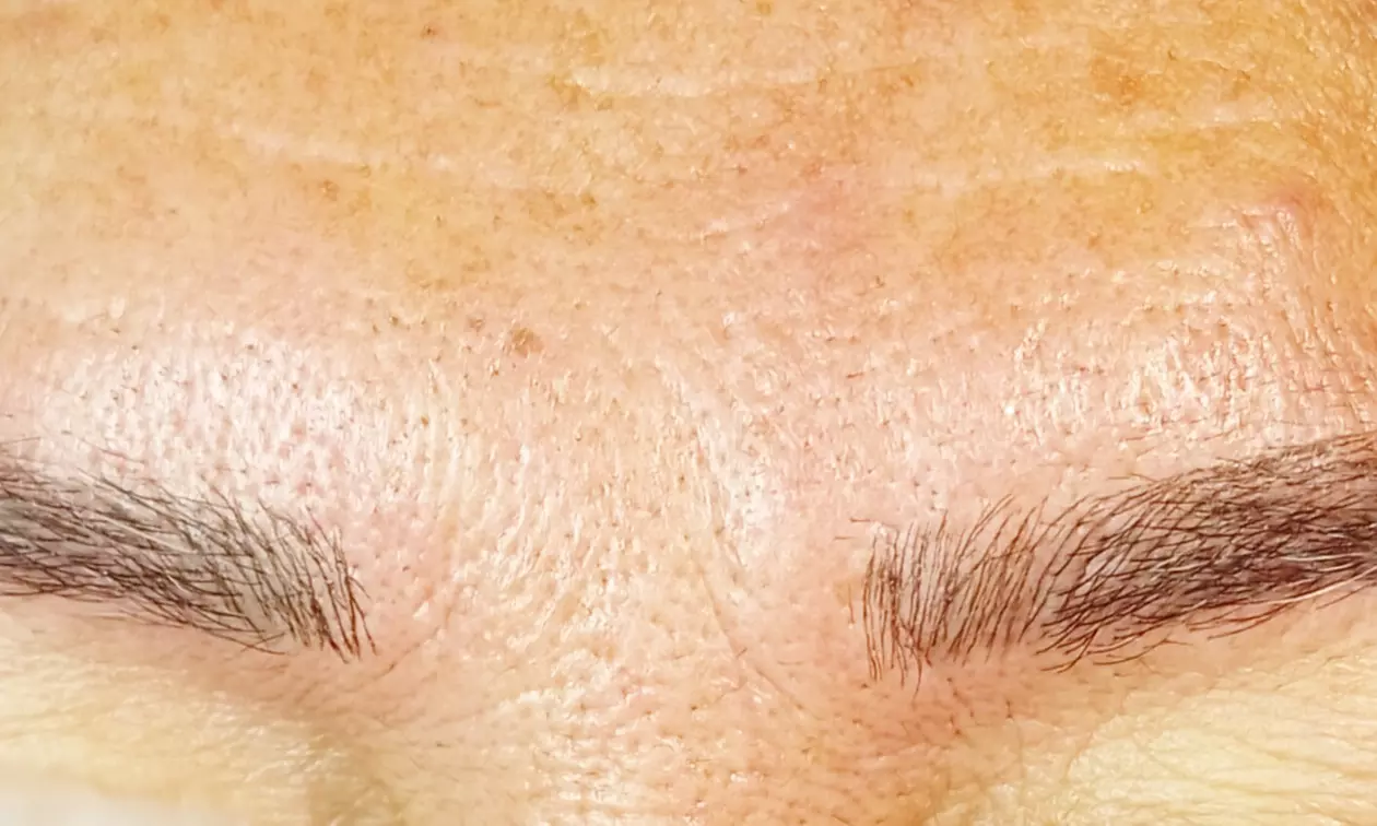 Microblading o microshading con diseño de cejas en Anita La Venezolana
