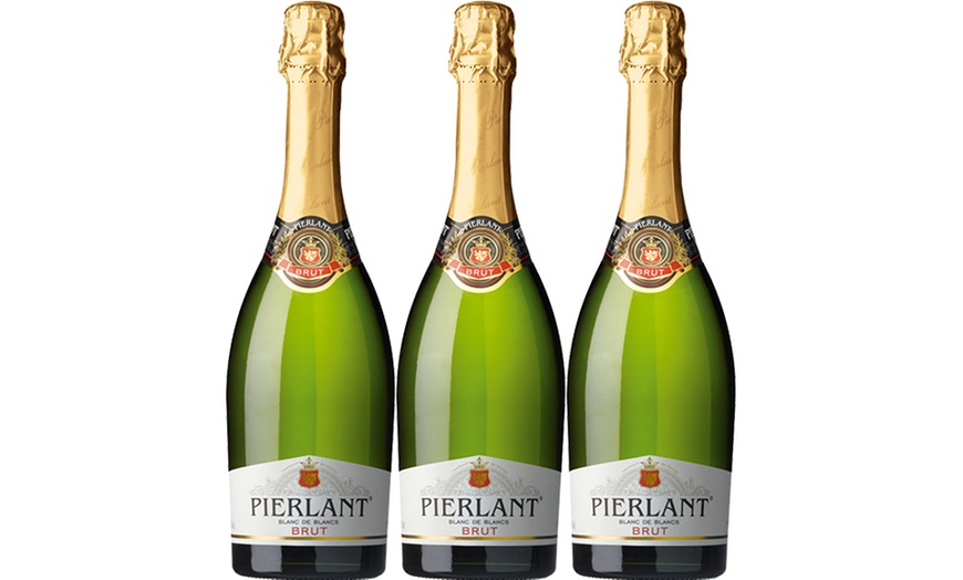 Image 6: Dozen French Sparkling Wine