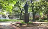 Public Walking Tour for Two or Four from Savannah Belle Tours (Up to 55% Off)