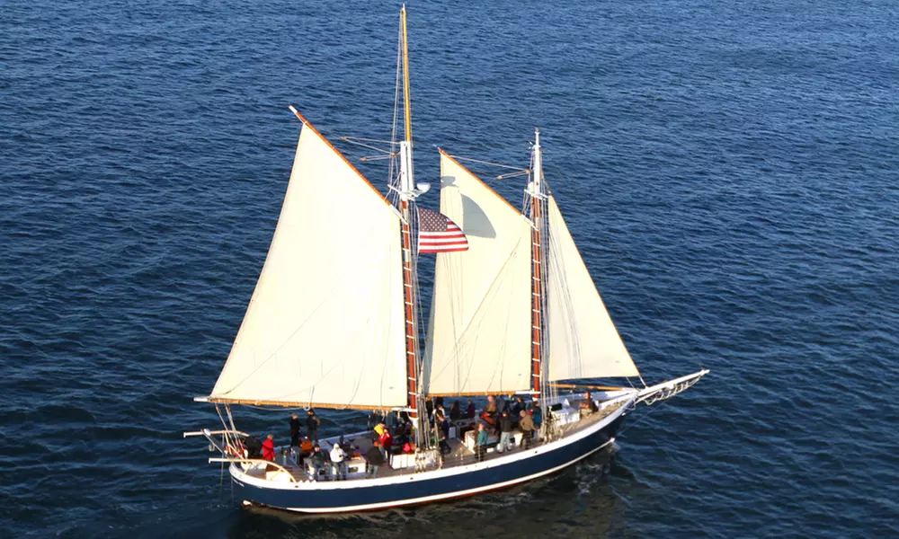 Sunday Evening Sunset Sail or Friday Night Bay Lights Sail from SF Bay Adventures (49% Off) - Primary Image
