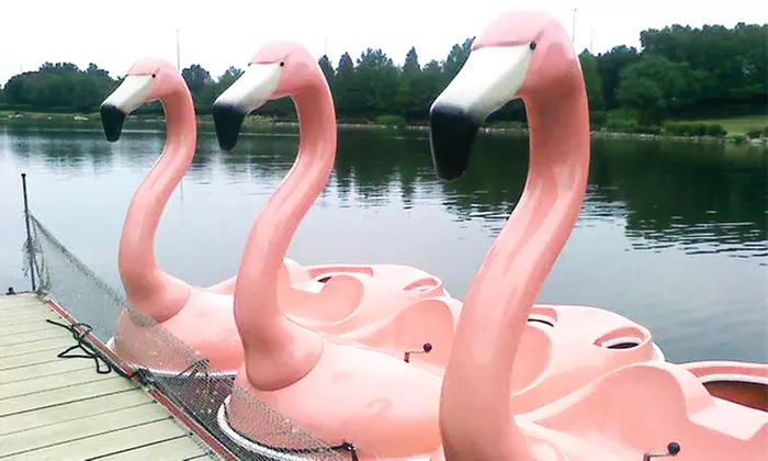 One or Two Groupons, Each Good for a Ride at Columbia Paddle Boats and Washingtonian Paddle Boats (Up to 53% Off) - Primary Image