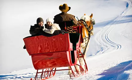 40-Minute Horse-Drawn Sleigh Ride for 2, 4, or Up to 12 from Garden Valley Trail Rides (Up to 67% Off) - Primary Image