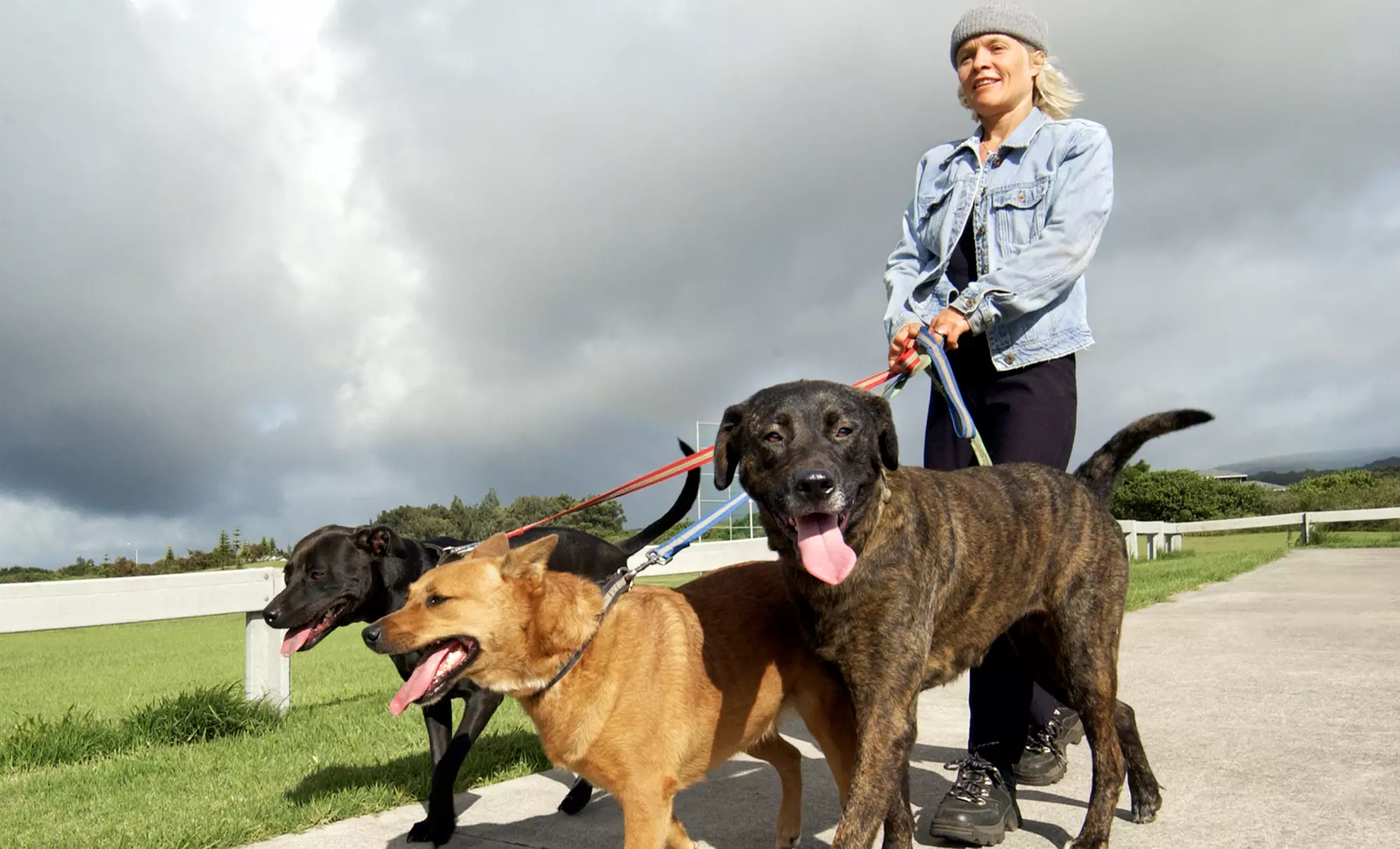 $11 for $23 Worth of Pet Care — Superstar Pet Sitting - Primary Image