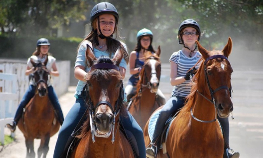 Image 4: Master Horse Riding Essentials w/ Liz Bolton Stables’ Private Lessons 