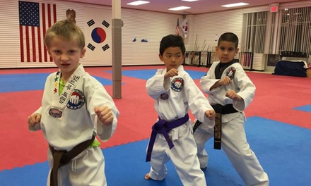 Taekwondo - Kim's Taekwondo Center, INC. | Groupon