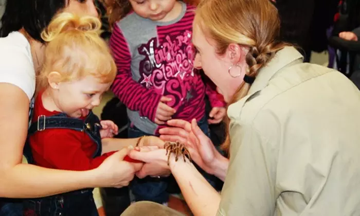 Admission for Two or Family of Four at Little Ray's Reptile Zoo (Up to 41% Off) - Primary Image