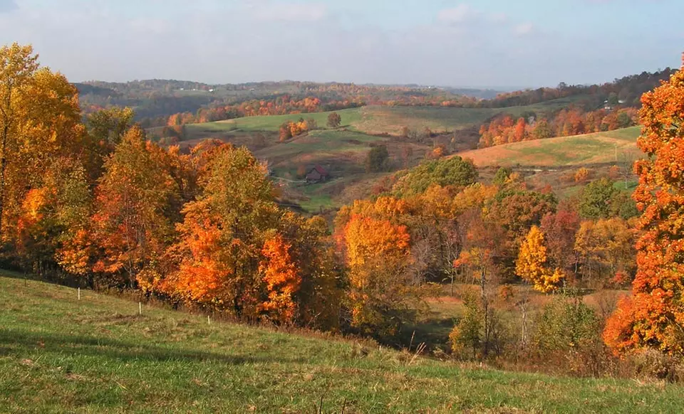 1- or 2-Night Stay with Optional Dinner for Two at Chestnut Ridge Country Inn in Pocahontas County, WV - Primary Image