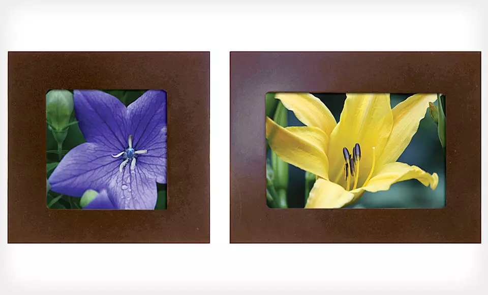 nexxt Design Picture Frame (Up to 41% Off). Two Options Available. Free Shipping and Free Returns. - Second Medium