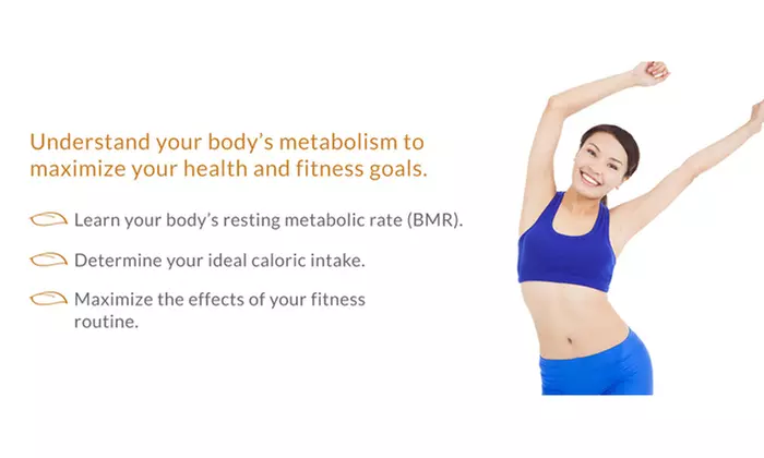 Four-Week Weight-Loss Program at Elite Fitness & Nutrition  (50% Off) - Primary Image