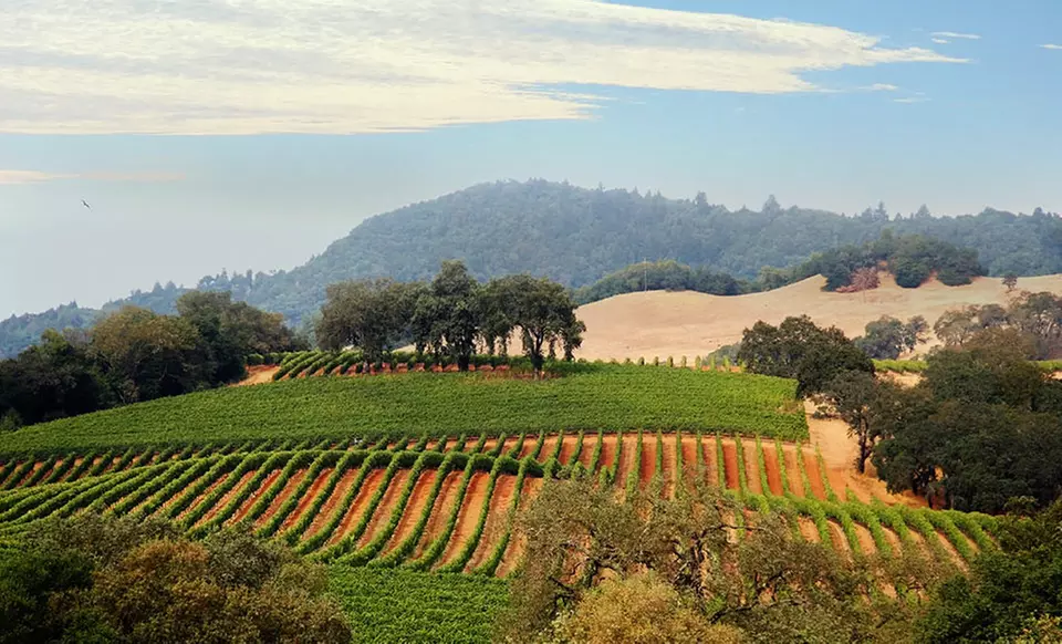 Stay at Vino Bello Resort in Napa, CA, with Dates into December - Primary Image
