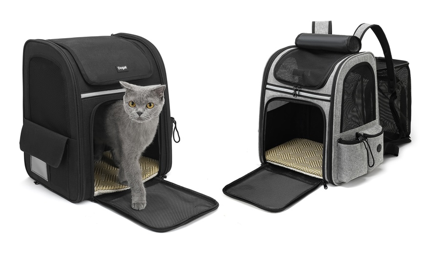 Image 1: Expandable and Foldable Pet Backpack with Ventilated Mesh Windows