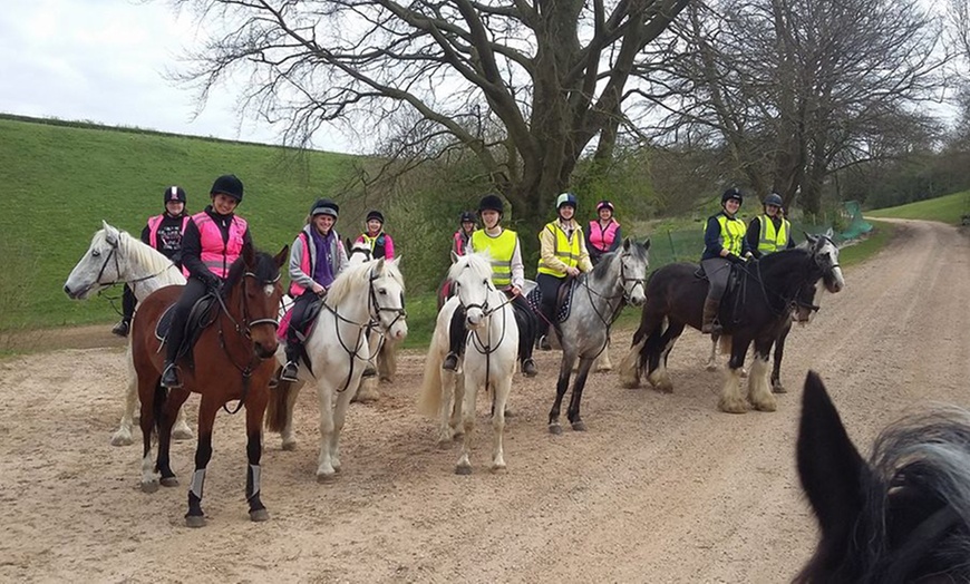 Image 5: Individual or Group Horse Riding