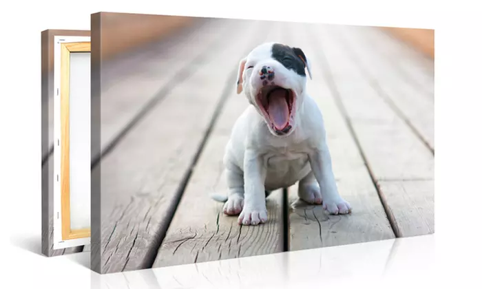 One 8x8, 24x20, or 36x24 Personalized Photo Canvas from CanvasOnSale (Up to 85% Off) - Second Medium