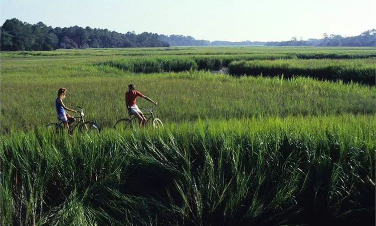 Two-Hour Bike Rental for One, Two, or Four at Skidaway Island State Park (Up to 50% Off) - Primary Image