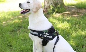 Personalised Dog Harness