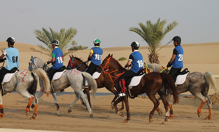 Image 6: Two Horse Riding Classes