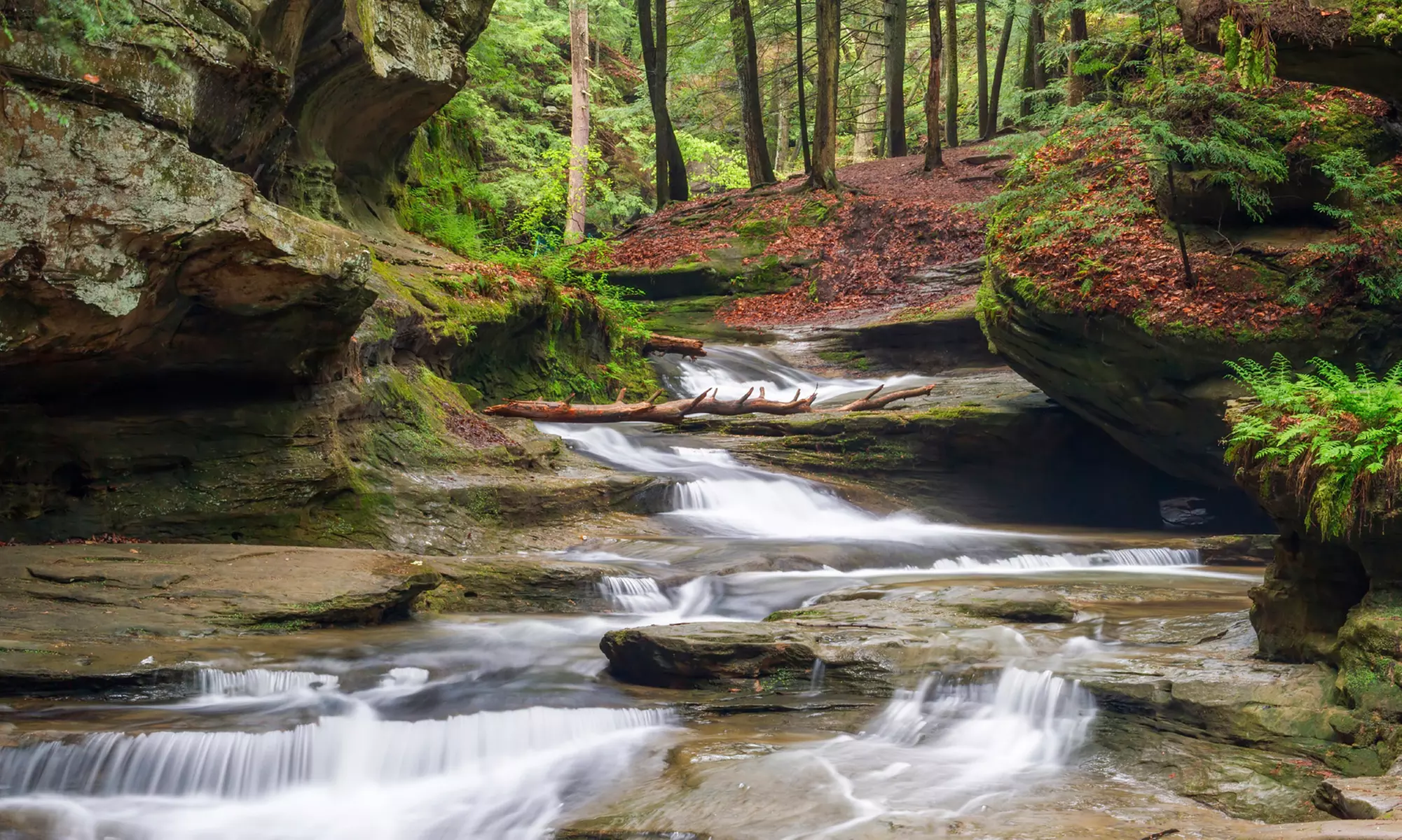 1-, 2-, 3-, or 5-Night Stay with Romance Package and a Breakfast for Two at Hocking Hills Cabins in Logan, OH - Primary Image