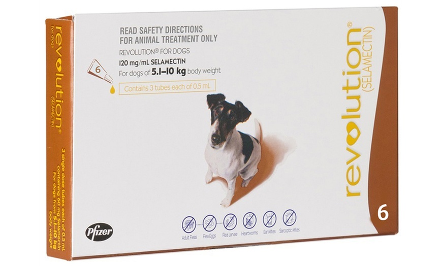 Image 2: Revolution® Flea Treatment 