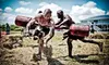 $29 for Spartan Race for One March 23 and 24, 2013 (Up to $100 Value)