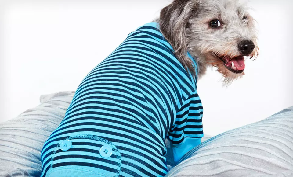 Lookin' Good Pet Pajamas (Up to Half Off). Multiple Styles and Sizes Available. Free Returns. - Second Medium