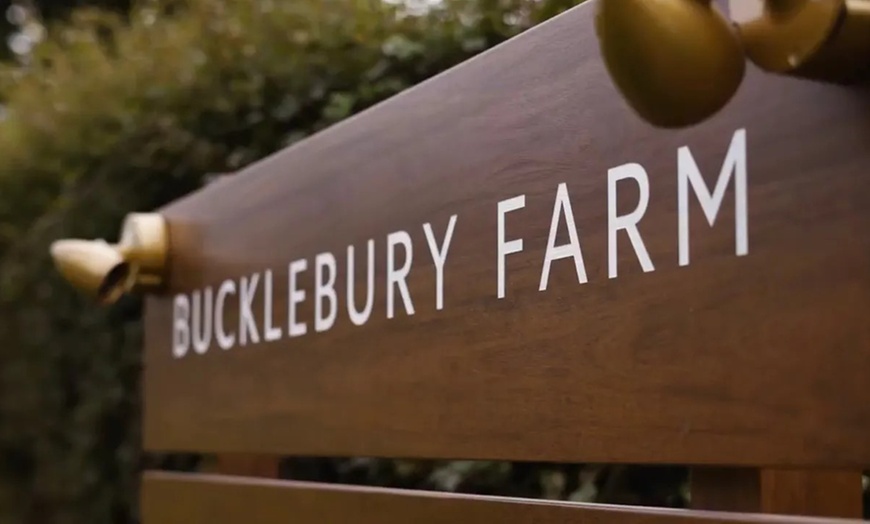 Image 9: This Halloween & Christmas Peak Time Farm and Soft Play Ticket 