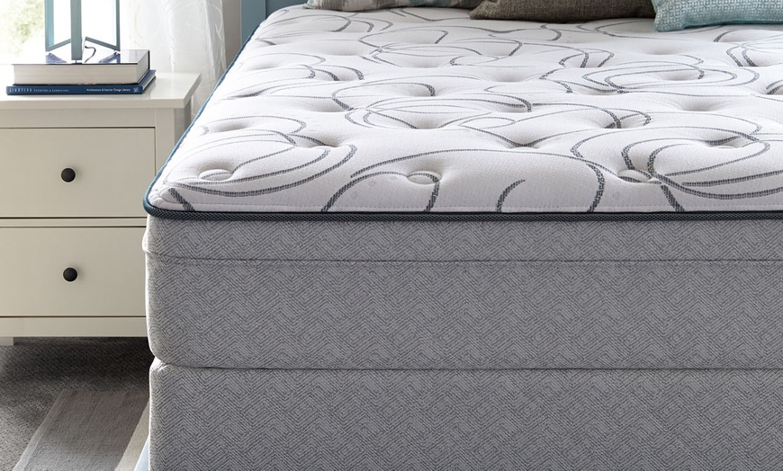 sealy safflower mattress