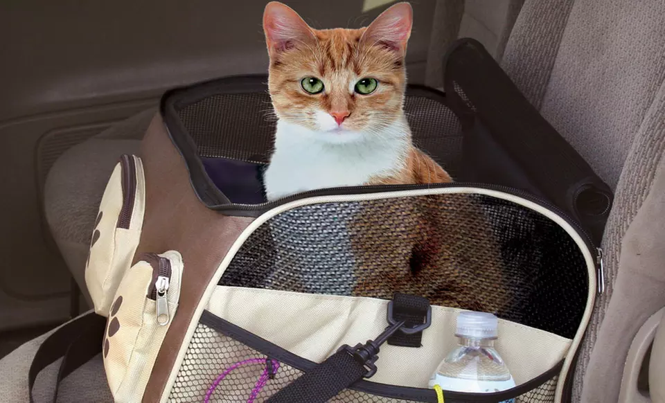 Pet Store 3-in-1 Booster, Car Seat, and Carrier for Pets (Up to 63% Off). Two Sizes. Free Shipping and Returns. - Second Medium