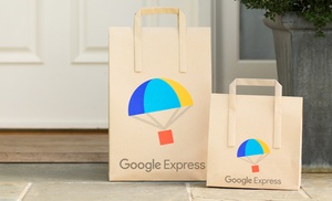 Google Express Delivery Credit