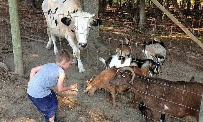Visit for Two, Four, or Six to Naylor Family Farm with Pumpkins, Popcorn, and Petting-Zoo Food (Up to 45% Off)  - Primary Image