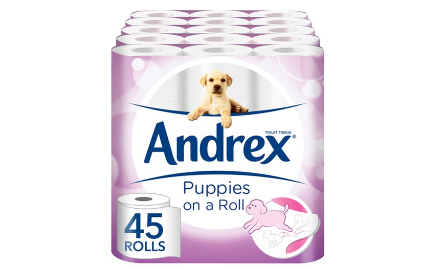 Image 5: Andrex Toilet Paper