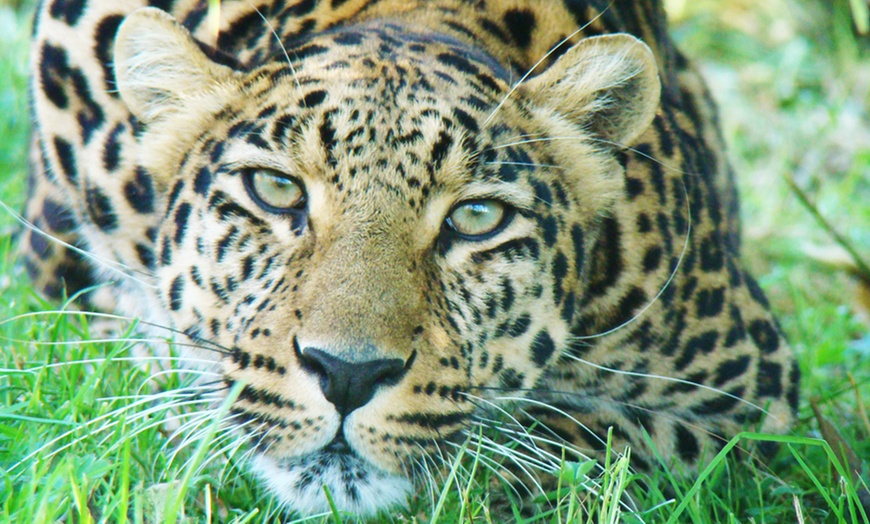 Image 2: Une journée au Zoo Parc de Renou