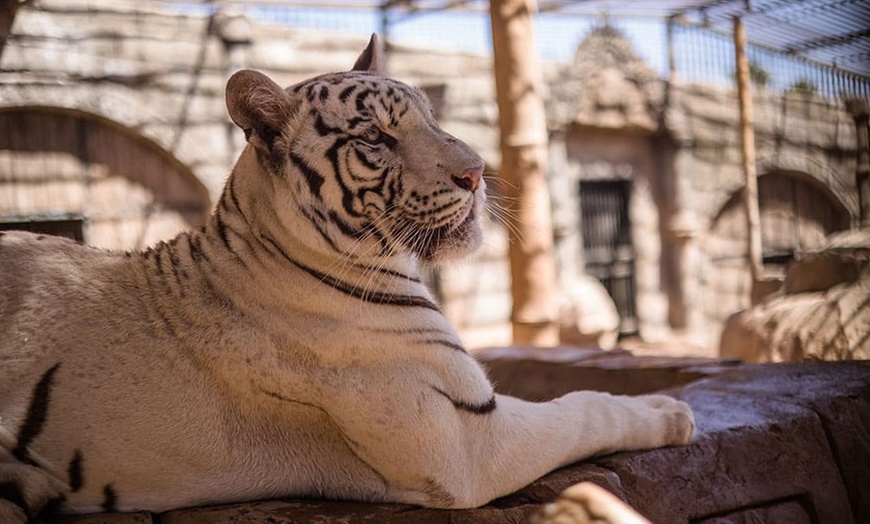 Image 10: Entrada a Cocodrilo Park Zoo para niños y adultos con comida y bebida