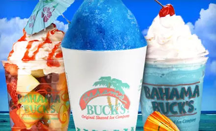 Frozen Treats or Party Packs at Bahama Buck's (Up to Half Off). Four Options Available. - Primary Image