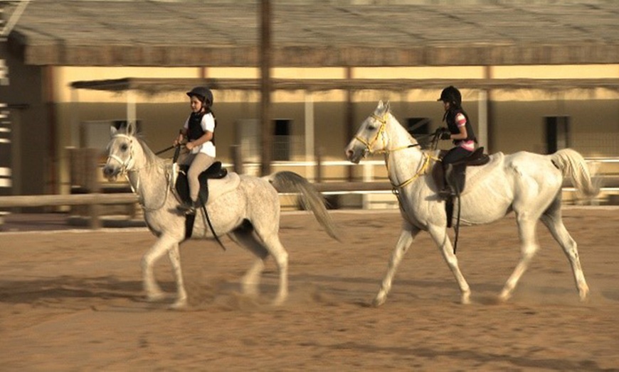 Image 2: Horse Riding Lessons