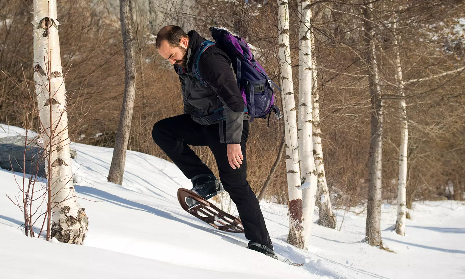 Jessie Mill or Overlook Guided Snowshoe Tour at Gold Run Nordic Center (Up to 48% Off) - Primary Image