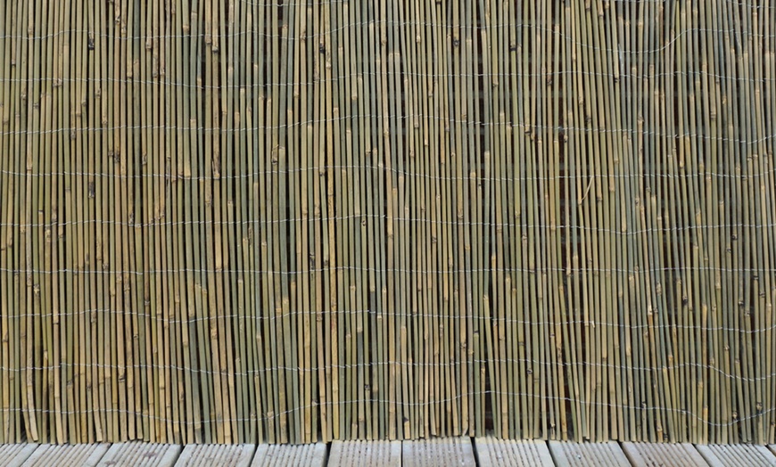 Image 2: Bamboo Cane Screen Roll