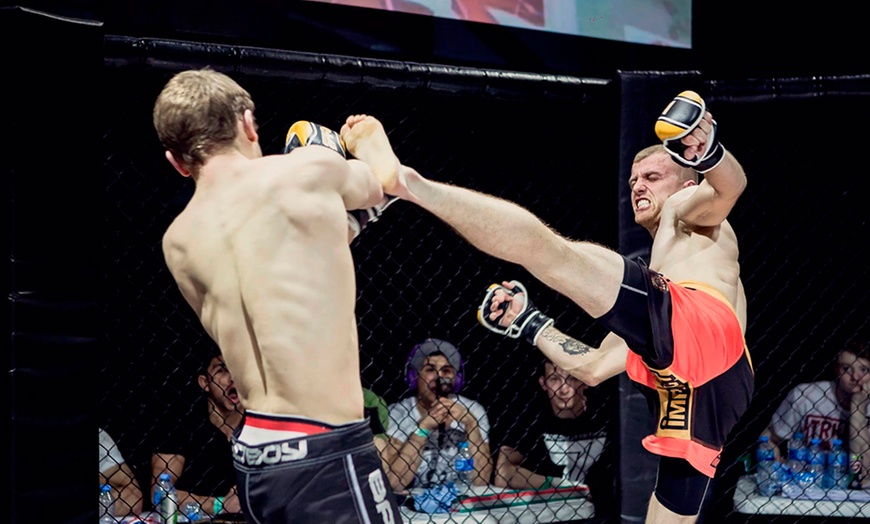 Image 4: Fury MMA Entry, Indigo at The O2