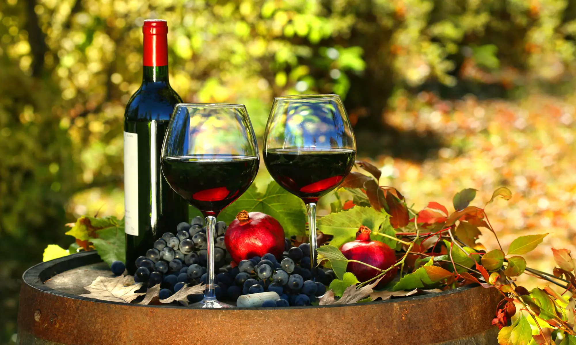 2014 Napa Valley Wine-Tasting Membership for Two or Four from Napa Valley Passport (Up to 58% Off) - Primary Image