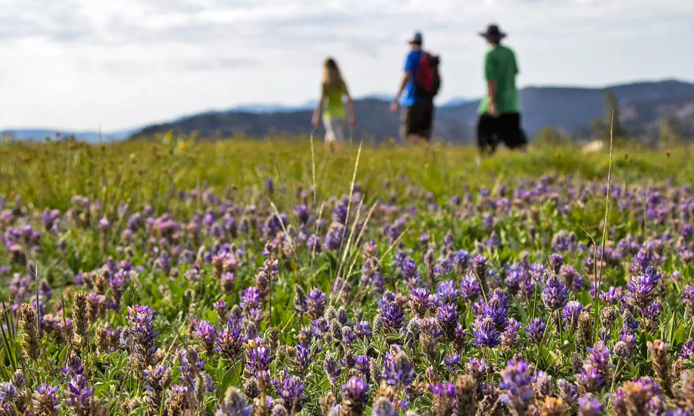 Aerial Tram and Outdoor Activities at Squaw Valley (Up to 50% Off). Six Options Available.  - Second Medium
