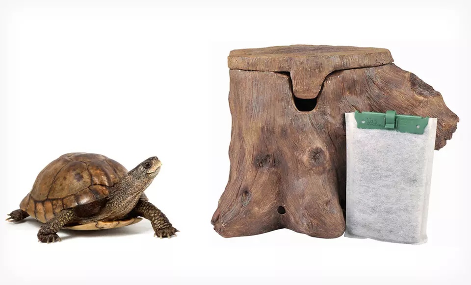 TetraFauna Turtle Terraces and ReptoFilters (Up to 61% Off). Free Shipping on Purchases of $15 or More. Free Returns. - Primary Image