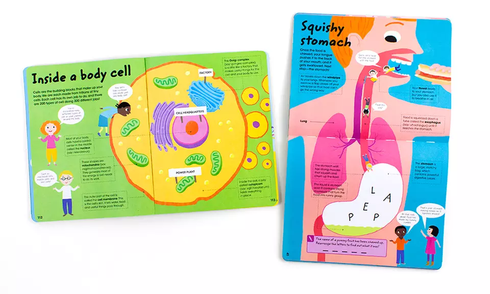 Discovery Kids Human Body Factivity Book - Second Medium