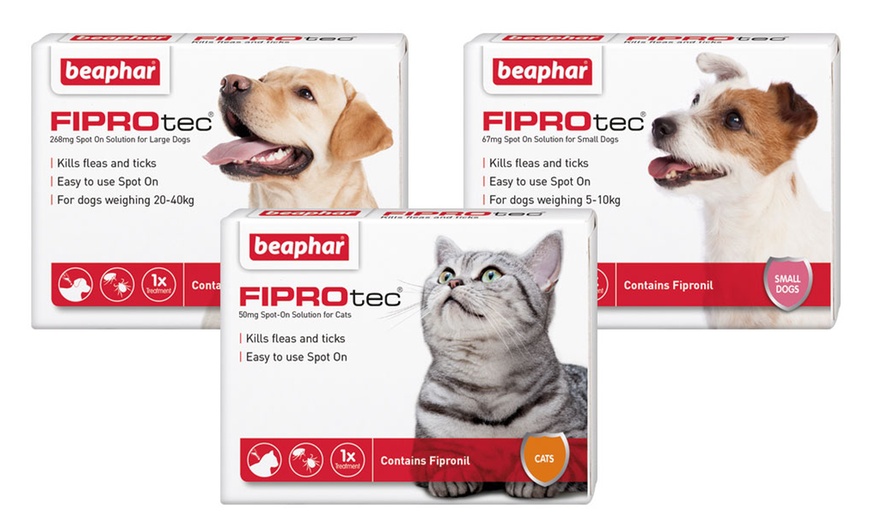 Fiprotec clearance flea treatment