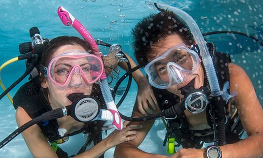 Image 3: Scuba Diving or Mermaid Experience at UK Diving Academy