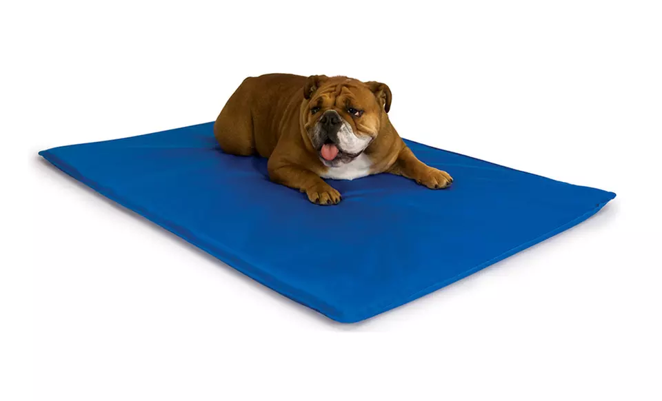 K&H Cool Bed III Cooling Pet Bed. Multiple Colors Available. Free Returns. - Primary Image