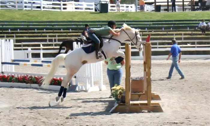 One, Two, or Three 60-Minute English Horse-Riding Lessons at Southwind Stables (Up to 53%) - Primary Image