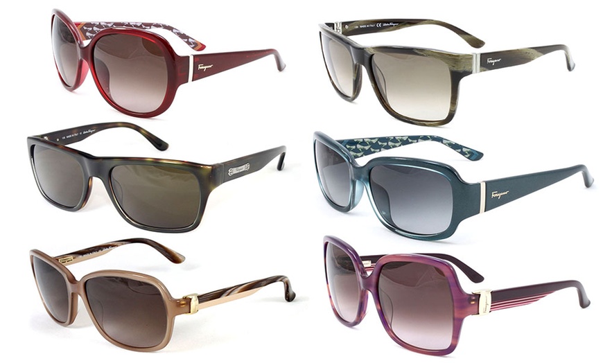 Ferragamo 620 discount sunglasses