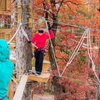 Image 9: Canopy Zipline Tour in Nashville West with 9 Ziplines! 
