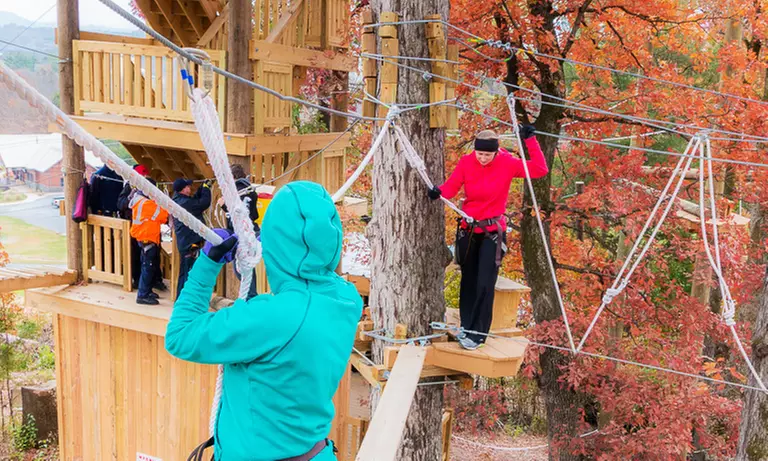 Canopy Zipline Tour in Nashville West with 9 Ziplines!