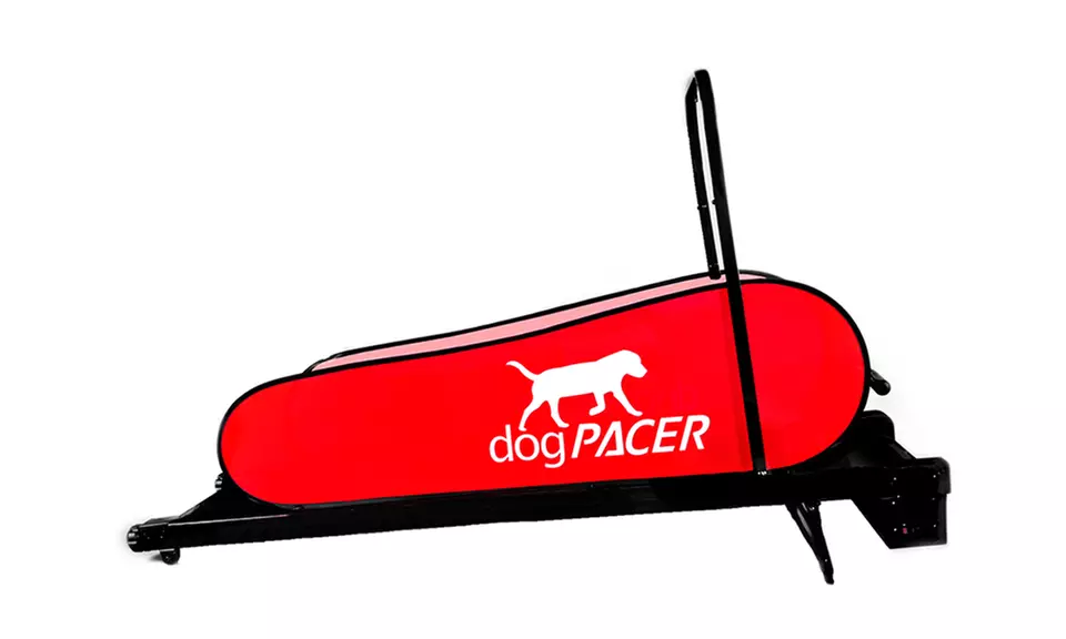 dogPACER Treadmills for Dogs. Multiple Options for Small to Large Dogs. - Second Medium